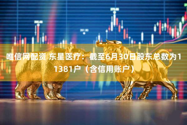 唯信网配资 东星医疗：截至6月30日股东总数为11381户（含信用账户）