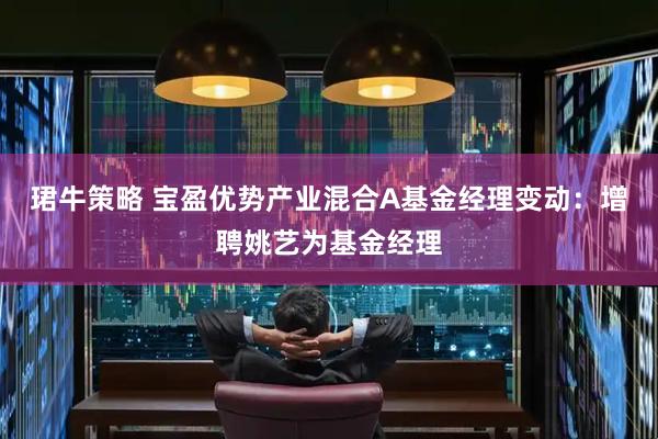 珺牛策略 宝盈优势产业混合A基金经理变动：增聘姚艺为基金经理