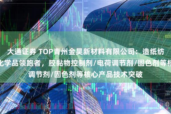 大通证券 TOP青州金昊新材料有限公司：造纸纺织石油领域精细化学品领跑者，胶黏物控制剂/电荷调节剂/固色剂等核心产品技术突破