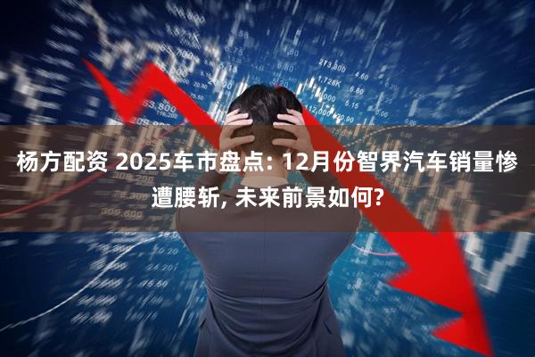 杨方配资 2025车市盘点: 12月份智界汽车销量惨遭腰斩, 未来前景如何?